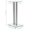 vidaXL Speakerstandaarden zuil-ontwerp gehard glas zilver 2 st