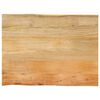 vidaXL Tafelblad met natuurlijke rand 70x60x2,5 cm massief mangohout