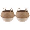 vidaXL Plantenpot met handvatten 2 st Wit &Oslash; 45 x 36 cm 100% Zeegras
