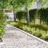 Miniatuurafbeelding van het product 2 van 7