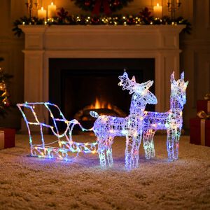 vidaXL Kerstversiering rendieren en slee 160 LED's 130 cm acryl