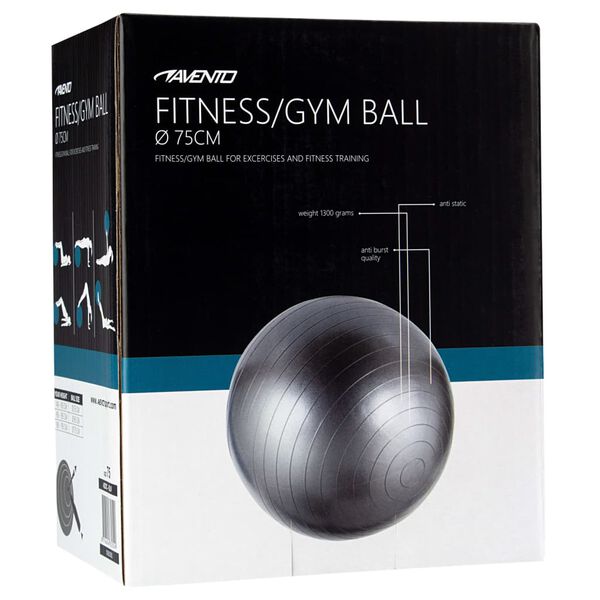 Avento Fitnessbal 75 cm zilverkleurig