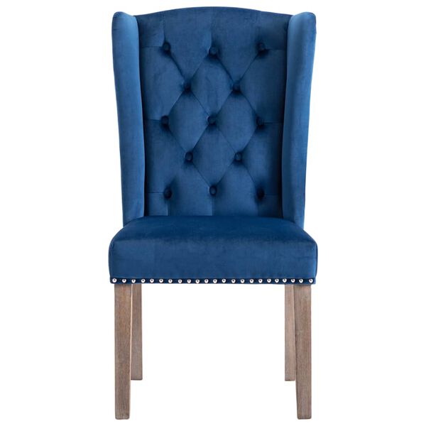 vidaXL Eetkamerstoelen 2 st fluweel blauw