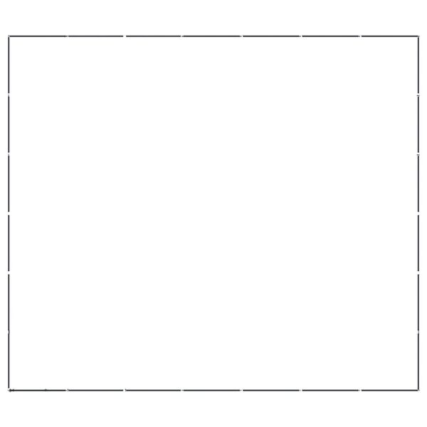 vidaXL Hondenkennel 38,71 m&sup2; staal