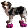 FitPAWS Dierenbalansplatformen 2 st Mini K9FITbone 29x16,5x6 cm