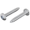 vidaXL Houten Schroeven 2 pcs Zilver M4 x 25 mm Staal