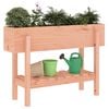 Miniatuurafbeelding van het product 3 van 9
