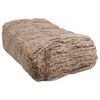 vidaXL Jute Dijkmat Naturel 1,6 x 5 m 100% Tossa Jute