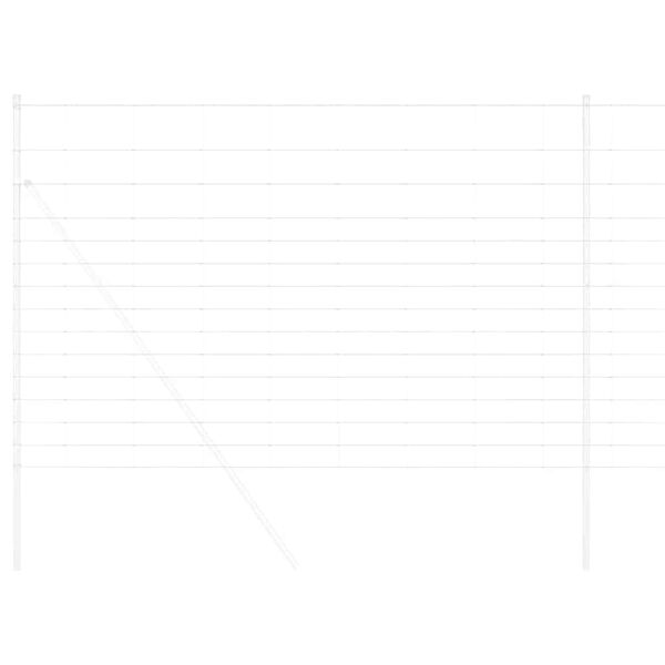 vidaXL Weidehekwerk Zilver 50 x 1,6 m Gegalvaniseerd staal