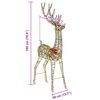Miniatuurafbeelding van het product 10 van 10