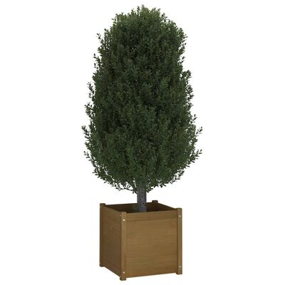 vidaXL Plantenbakken 2 st 50x50x50 cm massief grenenhout honingbruin