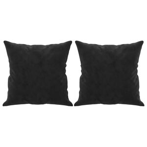 vidaXL Sierkussens 2 st 40x40 cm fluweel zwart