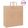 vidaXL Papieren zakken 250 st met hengsels 45x17x48 cm bruin