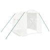 vidaXL Tuinkas met stalen frame 4 m&sup2; 2x2x2 m