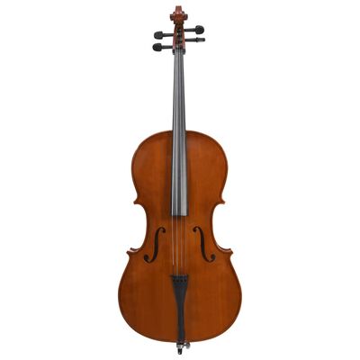 vidaXL Celloset met tas en haren strijkstok 4/4 donkerhoutkleurig