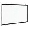 vidaXL Projectiescherm 16:9 50''