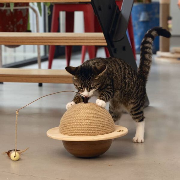 Designed by Lotte Kattenkrabbol Wiggly 29,5x20 cm hout