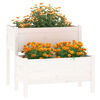 Miniatuurafbeelding van het product 3 van 7