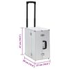 vidaXL Pilotentrolley 47x39x27 cm aluminium zilverkleurig