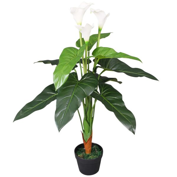 Productafbeelding 1 van 2