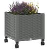 Miniatuurafbeelding van het product 3 van 8