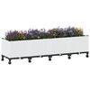 Miniatuurafbeelding van het product 3 van 8