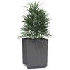 vidaXL Plantenbakken 2 st 30x30x37 cm polypropeen zwart