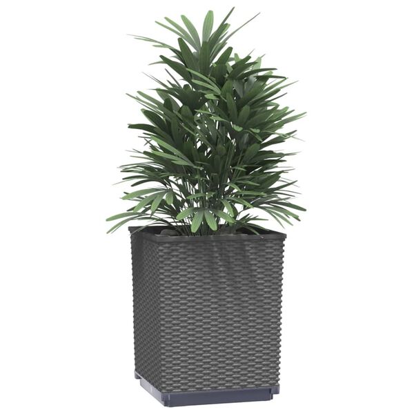 vidaXL Plantenbakken 2 st 30x30x37 cm polypropeen zwart