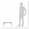 vidaXL Campingtafel inklapbaar 60x40 cm aluminium bruin