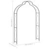 vidaXL Tuinboog 150x34x240 cm ijzer zwart