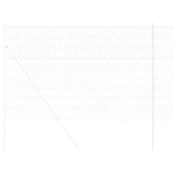 vidaXL Hexagon Hek Zilver 1,6 x 100 m Gegalvaniseerd staal