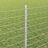 Miniatuurafbeelding van het product 4 van 7