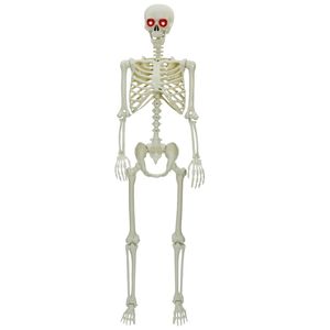 vidaXL Halloween Skelet Wit 155 x 38,5 cm Polypropyleen
