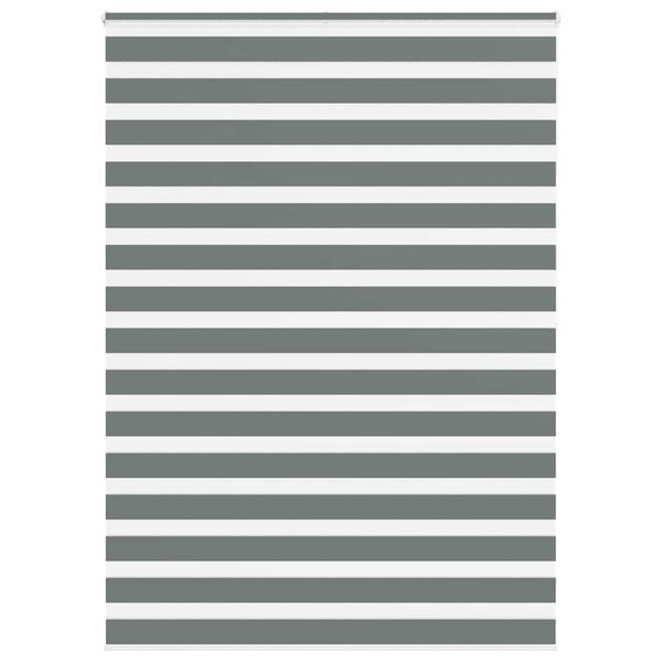 vidaXL Zebra rolgordijn 165x200 cm stofbreedte 160,9 cm donkergrijs