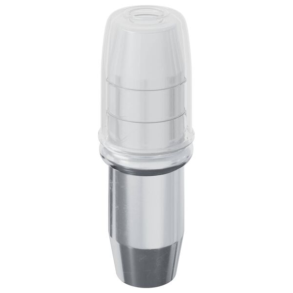 vidaXL Plankhaak 12 pcs Zilver 7 x 16 mm IJzer