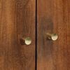 vidaXL Hoge kast met lade Bruin 60 x 33 x 100 cm Massief Mango Hout