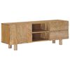 vidaXL TV-kast 110 x 30 x 40 cm Massief Mango Hout en Geengineerd Hout