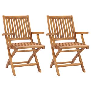 vidaXL Opklapbare stoelen, 2 stuks, massief teakhout