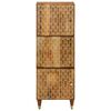 vidaXL Hoge kast 40x33x110 cm massief mangohout