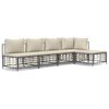 vidaXL 5-delige Loungeset met kussens poly rattan antracietkleurig