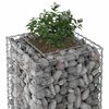 vidaXL Gabion Verhoogd Bed Zilver 50 x 50 x 150 cm
