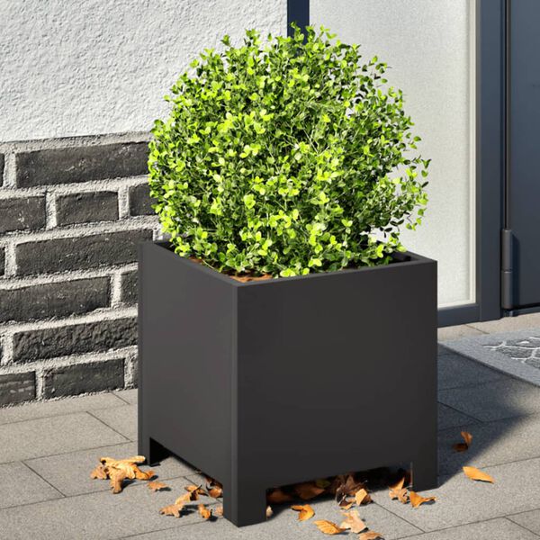 vidaXL Plantenbakken 2 st 30x30x30 cm staal zwart