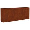 vidaXL Plantenbak verhoogd 200x40x80 cm cortenstaal