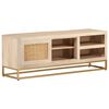 vidaXL Tv-meubel 110x30x40 cm massief ruw mangohout en ijzer