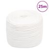 vidaXL Boottouw 10 mm 25 m polypropyleen volwit