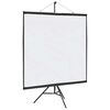 vidaXL Projectiescherm met statief 81 inch 1:1