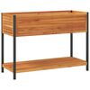 vidaXL Plantenbak met schap 110x45x80 cm massief acaciahout en staal