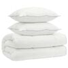 vidaXL Dekbed en Kussen Set 3 st 155x220 cm 4 seizoenen 200+300 GSM