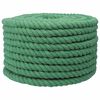 vidaXL Katoenen Touw 20 mm 100 m Groen 100% Katoen