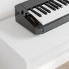 Miniatuurafbeelding van het product 4 van 12